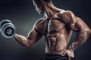 4shoone_articles_build_vein_featrd_img رگ